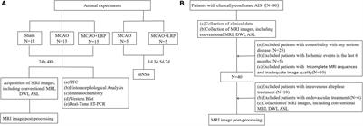 Three Dimensional-Arterial Spin Labeling Evaluation of Improved Cerebral Perfusion After Limb Remote Ischemic Preconditioning in a Rat Model of Focal Ischemic Stroke